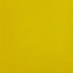 0253 - Dollaro Amarelo